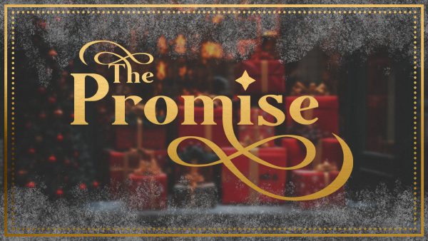 The Promise Delivered Image